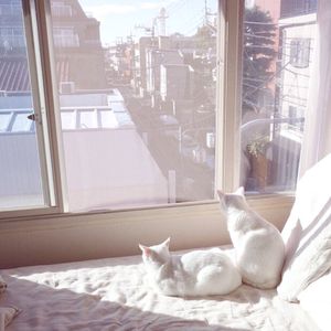 许晴被7个男人躁一夜
