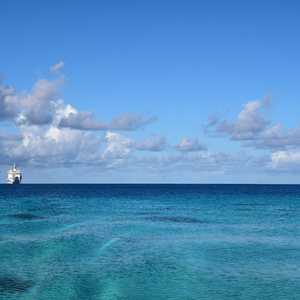 许晴被7个男人躁一夜
